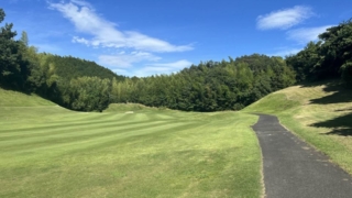 Thumbnail of post image 041